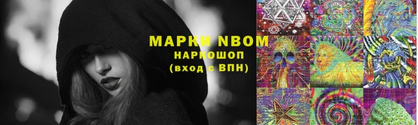 индика Иннополис