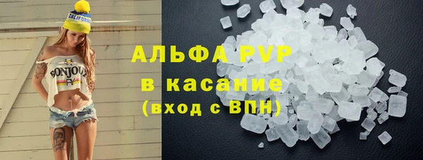 трава Инта