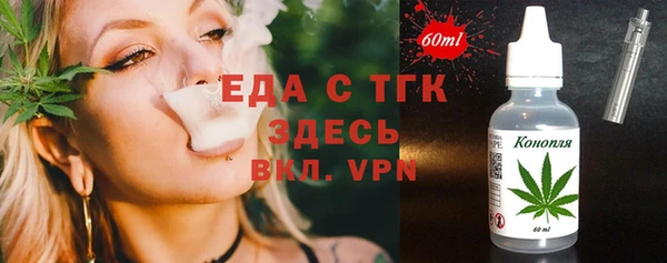 индика Иннополис