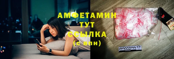 индика Иннополис