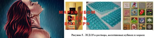 индика Иннополис