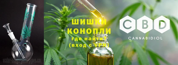 трава Инта