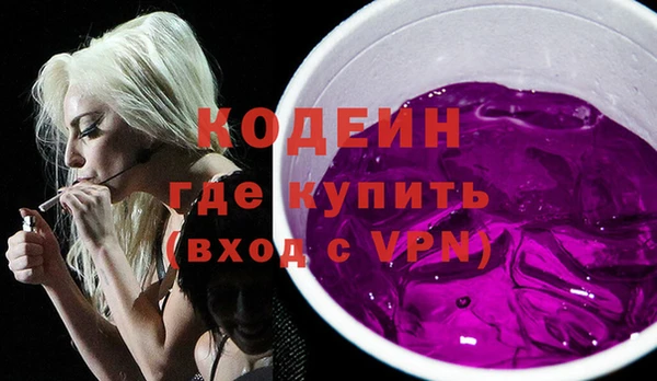 трава Инта