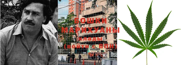 трава Инта