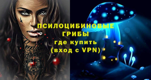 каннабис Каменногорск