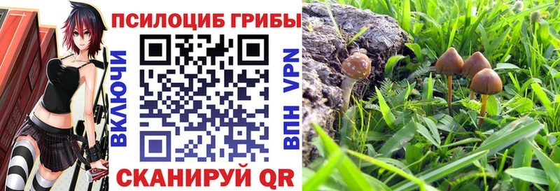 ОМГ ОМГ ссылки  купить   Касли  Псилоцибиновые грибы Psilocybine cubensis 